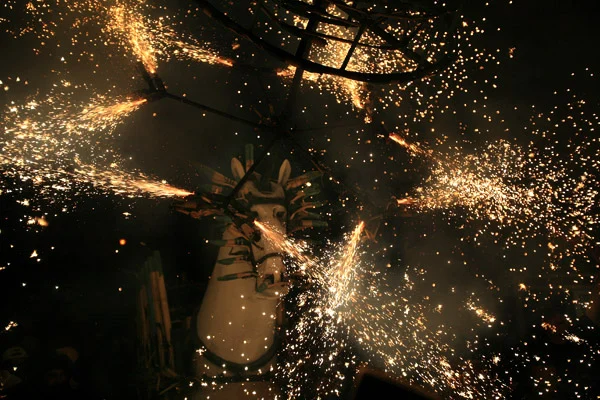 cavallo di fuoco
