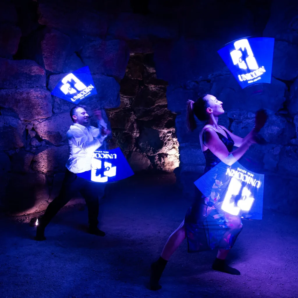show logo led per aziende