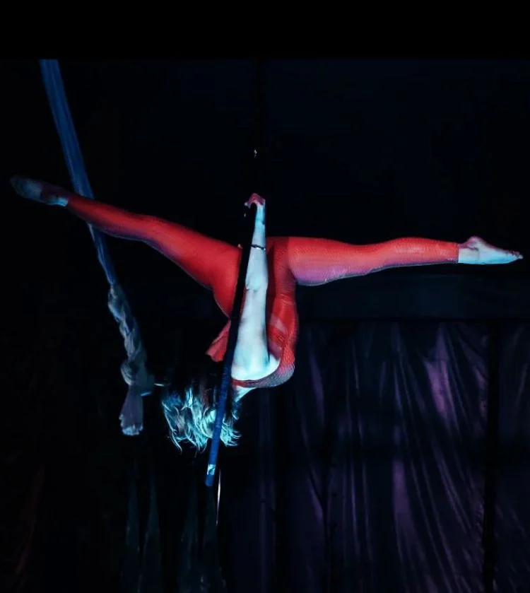 trapezio attrezzo danza aerea 2